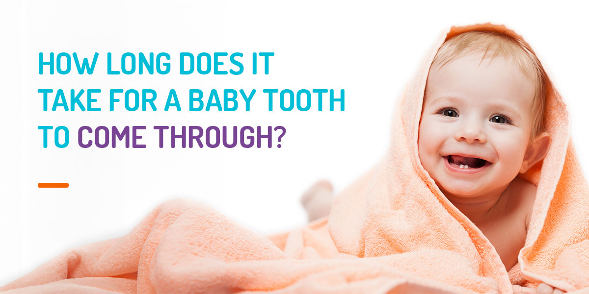 How long does it take for a baby tooth to come through?